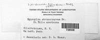 Nemania atropurpurea image